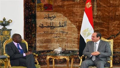 السيسي: مصر حريصة على تعزيز التعاون مع جميع الدول الأفريقية