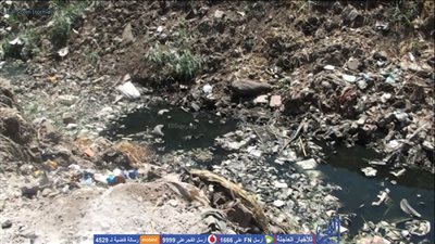 القمامة تكسو مصارف وترع قرى المنيا (صور)