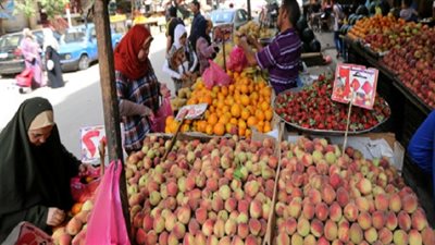 صحيفة إماراتية تقترح زيادة دعم العائلات المصرية لمواجهة ارتفاع الأسعار 