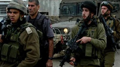 الجيش الإسرائيلي يصادر أطنانًا من الحطب من الضفة الغربية 