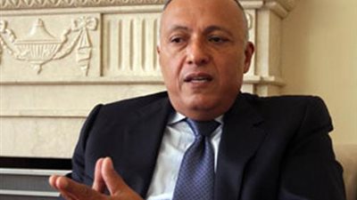 وزير الخارجية: لا علاقة بين قضية الجزيرتين ووقف 