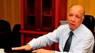 عضو في برلمان الشباب لمحافظ القاهرة: 