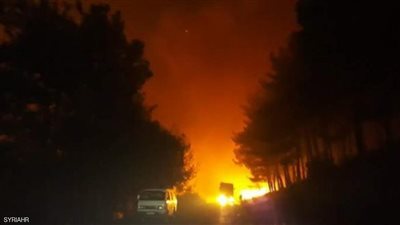 استمرار الحرائق في مسقط رأس الأسد