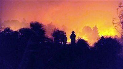 إسرائيل تطلق رسمياً اسم 