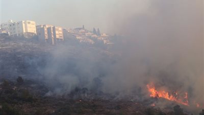 حرائق إسرائيل: إخلاء سجون بحيفا.. وإصابة 132 شخصاً (فيديو جديد)