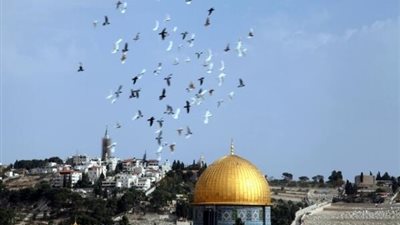 إسرائيل تحترق.. وثورة حب في فلسطين على 