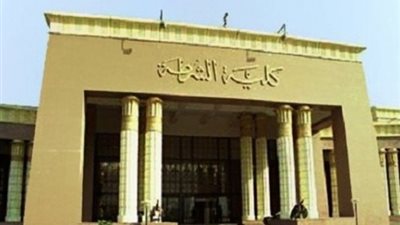 بالأسماء.. 3 من أبناء النواب في قنا يدخلون 