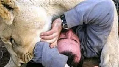 مصدر طبي بالإسكندرية: مدرب الأسود في حالة حرجه وطاقم طبي يتولى علاجه 