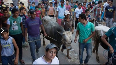 مواطن يشهر مطواة داخل مكتب الأحوال المواطنين بدمياط 