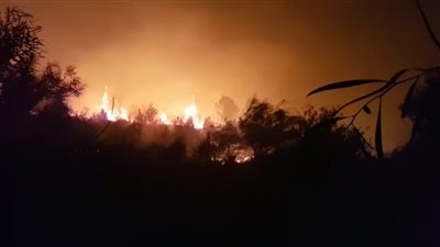 اندلاع حرائق جديدة قرب تل أبيب