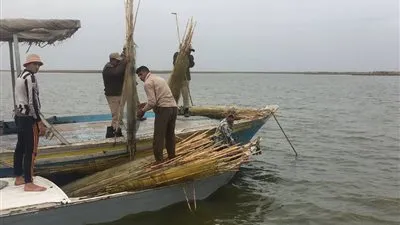 ضبط 243 قضية صيد «جائر» بحملة أمنية على بحيرة البرلس في كفرالشيخ