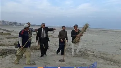 إنشاء صدات من «البوص» لحجز الكثبان الرملية  عن مصيف بلطيم (صور)