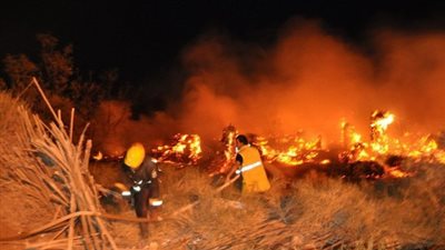 تفحم 20 نخلة وحظيرة مواشي في حريقين بالوادي الجديد