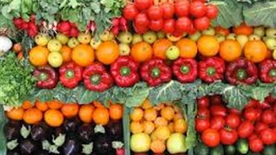 289 مليون دولار إجمالي صادرات الإسماعيلية