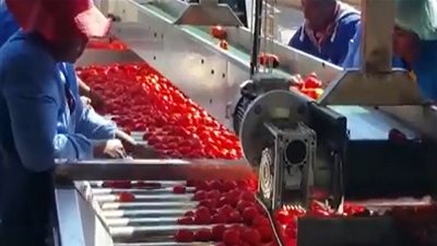 بعد أزمة صناعة 