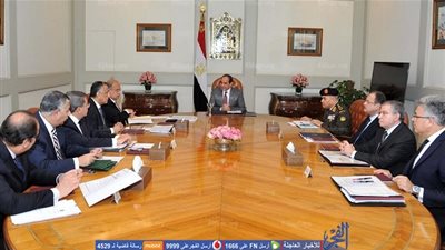 السيسي يوجه الحكومة بتثبيت أسعار الدواجن في حدود مناسبة للمواطن