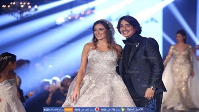 هاني البحيري يقدم 