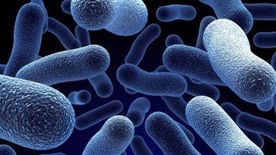 تعرف على فوائد البكتيريا!