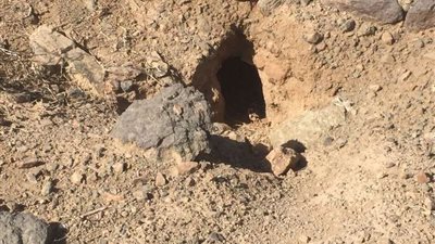 مقابر دون أبواب تحفرها الحيوانات نبشاً بمهد الذهب القديم