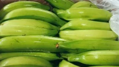 ٦ فوائد صحية لموز الجنة.. تعرف عليها