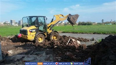 إزالة تعدي على الأراضي الزراعية بدمياط  (صور)