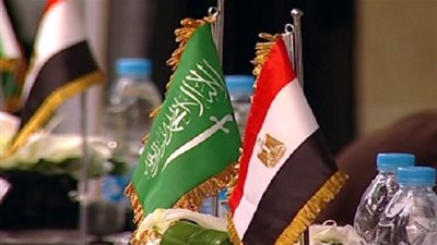 المونيتور: الخلاف القائم بين القاهرة والرياض يثير قلق إسرائيل 