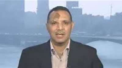 أستاذ علوم سياسية يُطالب بإلغاء السوق الحرة في مصر