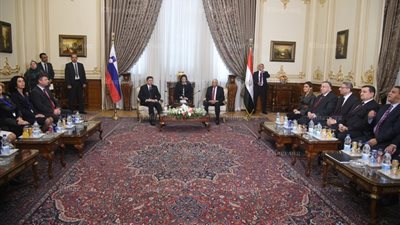 عبدالعال يستقبل رئيس سلوفينيا لبحث تطوير التعاون البرلماني (صور)