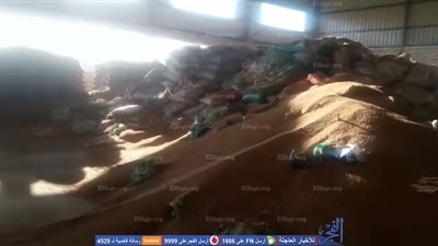 ضبط 5 مسئولين عن صوامع تلاعبوا في صرف 675 طن قمح بالبحيرة (فيديو)