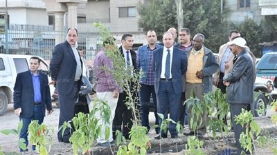 تشجير 600 متر تم استغلالهم كمكب للقمامة بجوار شركة مياه الشرب بدمنهور (صور)