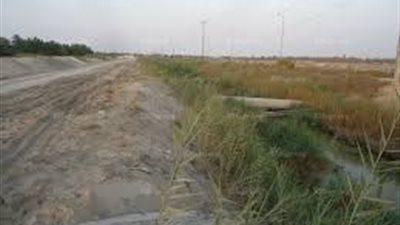 نائب كفر الدوار يتقدم بطلب لإنقاذ 400 فدان من مياه الصرف الزراعي