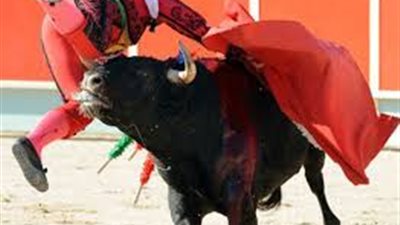 تعرف على السر الغامض لاستخدام اللون الأحمر في مصارعة الثيران !