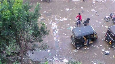 سقوط أشجار على بعض طرق دمياط بسبب الرياح (صور)