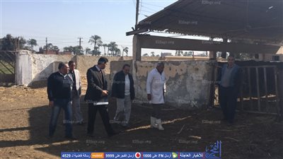 الرقابة الإدارية بأسيوط تفاجئ مزارع الإنتاج الحيواني لمتابعة سير العمل والاشتراطات الصحية (صور)