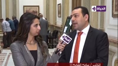 برلماني: تشكيل لجنة تقصي حقائق للوقوف على خسائر 