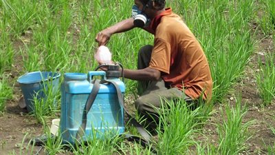 ارتفاع أسعار الأسمدة زلزال جديد  يضرب الزراعة.. وخبراء: كارثة 