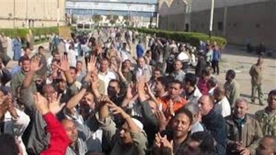 داليا موسى: قانون العمل الجديد 