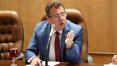 برلماني يقدم الحل الأمثل لـ مشكلة الدواء في مصر 