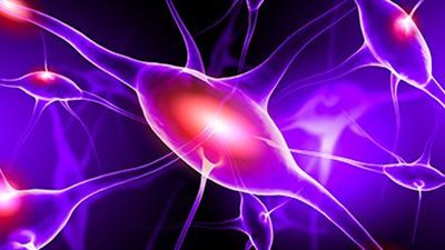 تعرف على الهرمونات التي تتحكم في كل الجسد !