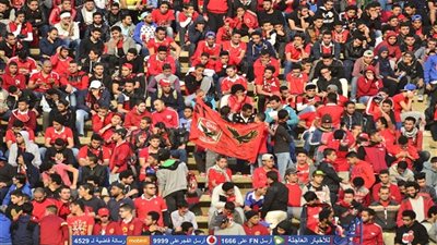 حملة جديدة لدعم المشجع المصري (فيديو)