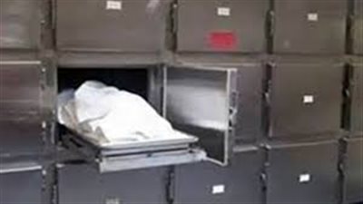 شخص يطعن صديقه بالسكين بسبب الخلاف على مبلغ مالي في كفر الشيخ