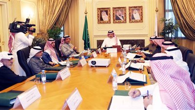 وضع آلية استكمال تخصيص الأندية السعودية