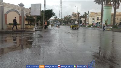الأمطار تضرب شوارع الإسكندرية (فيديو وصور)