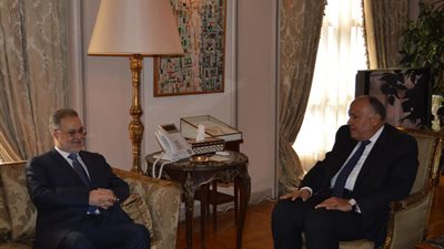 وزير الخارجية اليمني: نثق في مصر ونحرص على إحاطتها بكافة التطورات