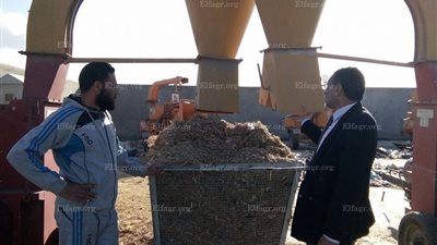 استغلال قش الأرز وقطع الأخشاب لإنتاج 