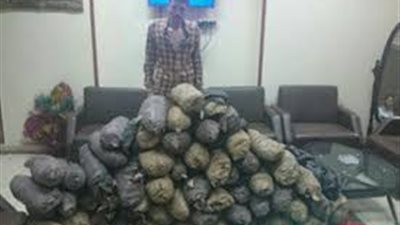 ضبط تاجر مخدرات متلبساً بحيازة 33 لفافة بانجو في الإسماعيلية