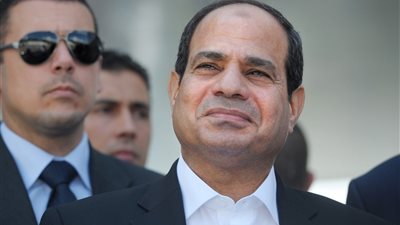 السيسي ينتقد سعر أحد منتجات شركة 