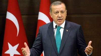 أردوغان يبحث مع ترامب إقامة حظر جوى شمال سوريا 