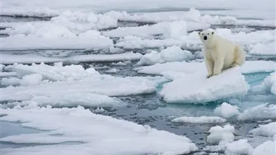 موجة حارة غير مسبوقة تضرب القطب الشمالي عشية أعياد الميلاد