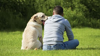 تعرف على الحكم الشرعي في إقتناء الكلاب (فيديو)